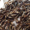 Felice's cooksnap of when they made Tazukuri: Caramelized Sardine.