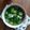 Cooksnap dari Erlyn Bukhori untuk resep Sayur Bening Bayam Oyong