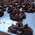 Cooksnap dari Alfatih Moms untuk resep 29. Semprit Coklat Putih Telur #seninsemangat