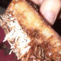 Cooksnap dari dewi marsella untuk resep Martabak teflon no mixer