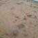 Urvashi Mehta's cooksnap of when they made કેળાં-બુંદી નું રાયતું.