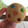 El cooksnap de Camila cuando hizo Galletitas con chips de chocolate.
