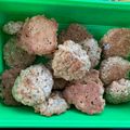 El cooksnap de Natalia Line cuando hizo Galletitas de avena crocantes.