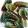 Cooksnap dari Diana Laili untuk resep Kerang Hijau Rebus