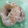 Cooksnap dari Reini Seto untuk resep Donat Kentang Autolisis (Tanpa Mixer, Uleni 5 menit)