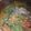 Sasipriya ragounadin's cooksnap of when they made மண்சட்டி மிளகு தக்காளி ரசம்.