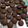 Cooksnap Salina Jalaludin semasa beliau membuat Kek cawan coklat moist.