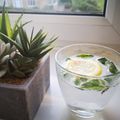 Rehana Wasim's cooksnap of when they made Mint lemonade.