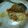 Cooksnap dari Tyaseta Rabita Nugraeni Sardjono untuk resep Mie goreng + telor dadar