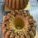 Cooksnap dari Catherine Ling untuk resep BOLU Jadul SUKADE