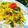 Abhilasha Gupta 's cooksnap of when they made Vegetable rice...