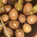 Cooksnap dari indah untuk resep 363. Sate Telur Puyuh ala Angkringan