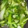 潔米兒 的 蒜炒青江菜 cooksnap