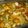El cooksnap de Mika Tahiel Restano cuando hizo Escabeche de pollo (economico).