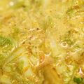 Cooksnap dari K KG untuk resep Sawi putih kuah santan