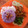 Cooksnap dari Angelica Sofia untuk resep Nasi Uduk Ungu