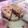 El cooksnap de Evelyn cuando hizo Kuchen de moras.