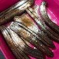 Cooksnap dari ayunita untuk resep Oreo Churros