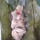 Cooksnap dari Lilian Nov untuk resep Botok 3 T(tahu,tempe,teri)