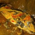 Cooksnap dari Bunda Wieta untuk resep Pepes Ikan Mas Kemangi