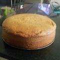 El cooksnap de Stella Maris Diaz cuando hizo Bizcochuelo Esponjoso.