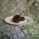 Cooksnap dari grezelda cordelia untuk resep Brownies Kukus Tepung Beras Irit (tanpa DCC, serba 5sdm)