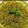 Jigna buch's cooksnap of when they made આલુ સેવ (Aloo Sev Recipe In Gujarati).
