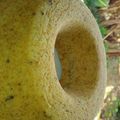 Cooksnap dari Laila Mutiara S untuk resep Bolu Kukus Pisang