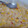 El cooksnap de Vanesa maderna cuando hizo Empanadas de choclo y salsa blanca.