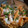 Mark Morgan's cooksnap of when they made Crockpot Buffalo Chicken Pasta.