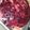 El cooksnap de Yessica Olveira cuando hizo Cheesecake de frambuesa sin horno.