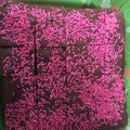 Cooksnap dari Nisa Aulia untuk resep Bolu Nutrijel Coklat