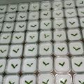 Cooksnap dari HAIRAKA untuk resep Kue Lumpur Surga