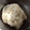 El cooksnap de Mar y Sal Mansilla cuando hizo Masa para pascualina en 5 minutos.
