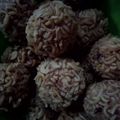 Cooksnap dari Husnul Nur Halimah untuk resep Bola bola mie tahu
