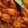 Cooksnap dari frisca untuk resep Ayam Kecap Sunda...harus recook