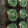 El cooksnap de Patricia Andrea Burgos Jara cuando hizo Cupcakes rellenos de manjar.