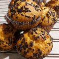 Cooksnap από Λεμονιά Πούλου στη συνταγή Μάφινς βανίλιας με μέλι, γιαούρτι και ελαιόλαδο
