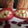 Meena Parajuli's cooksnap of when they made Vickys Halloween Apples - With Bite! GF DF EF SF.