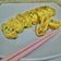 Cooksnap dari Netty Suherlis untuk resep Telur Dadar Gulung ala Tamagoyaki
