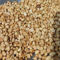 Cooksnap dari ummu abdurrahman untuk resep Kacang goreng mentega