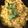 Vidyutaa Kashyap's cooksnap of when they made Masala Khichdi - Ultimate Indian Soul & comfort food - One Pot Healthy Meal In Pressure Cooker.