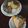 รูป Cooksnap ของ Meacheep Cheep เมื่อเขาทำ สังขยาในลูกฟักทอง