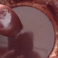 Cooksnap dari Riyyasy Azfa untuk resep Selai coklat dcc