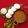 Deepa Rupani's cooksnap of when they made ઈડલી સંભાર(idli sambhar recipe in Gujarati).