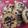 El cooksnap de Karina Mansilla Hernandez cuando hizo Galletitas de avena y chispas de chocolate.