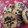El cooksnap de Karina Mansilla Hernandez cuando hizo Galletitas de avena y chispas de chocolate.