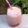 Cooksnap από 𝒳𝓇𝓊𝓈𝑜𝓊𝓁𝒶 𝒦𝑜𝓃𝓉𝑜𝓅𝑜𝓊𝓁𝑜𝓊 στη συνταγή Smoothie με βανίλιες, λιναρόσπορο και μέλι💞