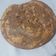 El cooksnap de Anahy Silvera cuando hizo Torta marmolada con onda.