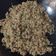 Cooksnap dari Puputsariii untuk resep Nasgor Sosis ala Cece
